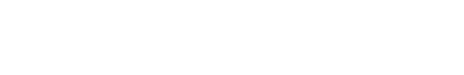 Safegauge